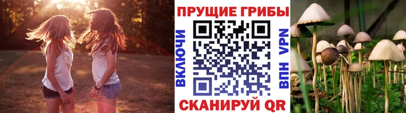 дарнет шоп Пролетарск Галлюциногенные грибы прущие грибы